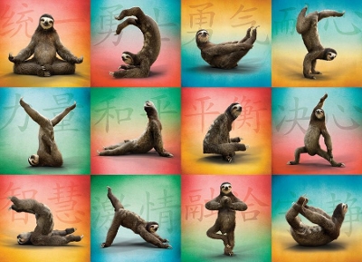 Sloth Yoga Jigsaw by Willow Creek Press