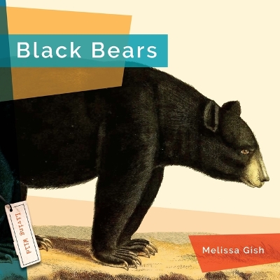 Black Bears book