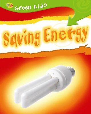 Saving Energy book
