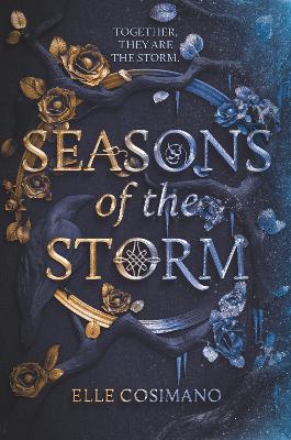 Seasons of the Storm book