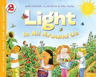 Light Is All Around Us book