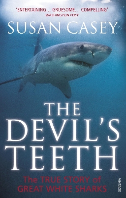 Devil's Teeth book