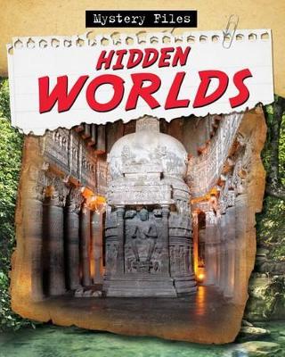 Hidden Worlds book