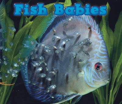 Fish Babies book
