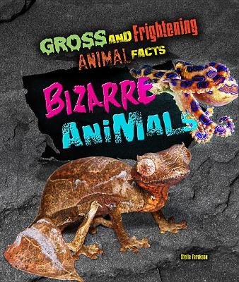 Bizarre Animals book