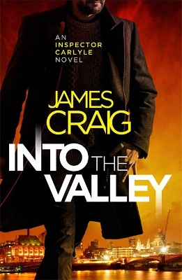 Into the Valley book