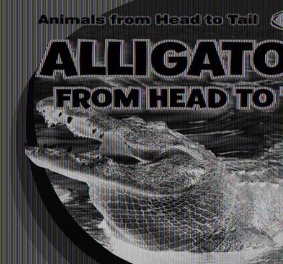 Alligators from Head to Tail book