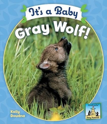 It's a Baby Gray Wolf by Kelly Doudna