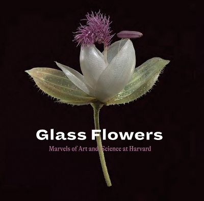 Glass Flowers: Marvels of Art and Science at Harvard book