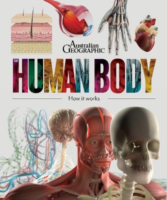 The Human Body: How it Works book