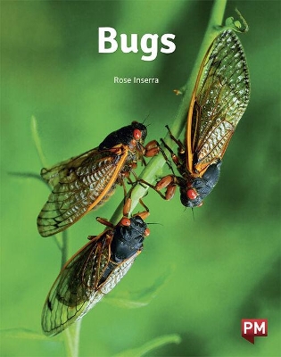 Bugs Bugs book