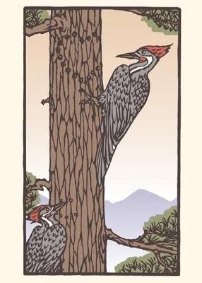 Woodpecker by Bruce Smith