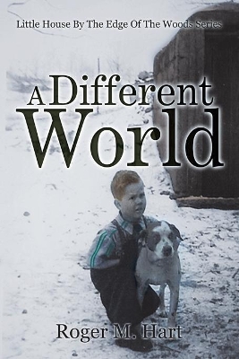 A Different World: Little House by the Edge of the Woods, Series book