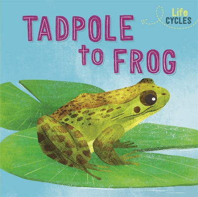Life Cycles: From Tadpole to Frog by Rachel Tonkin
