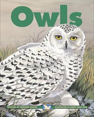 Owls book