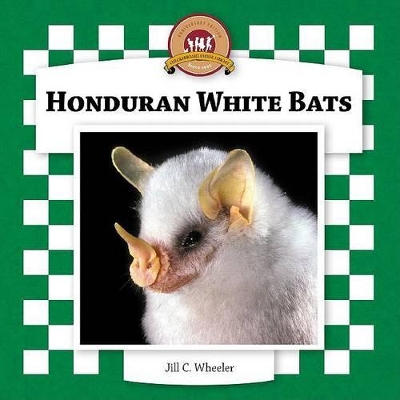 Honduran White Bats by Jill C Wheeler