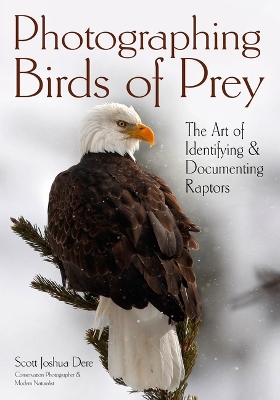 Photographing Birds Of Prey: The Art of Identifying & Documenting Raptors book