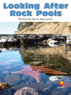 Looking After Rock Pools book