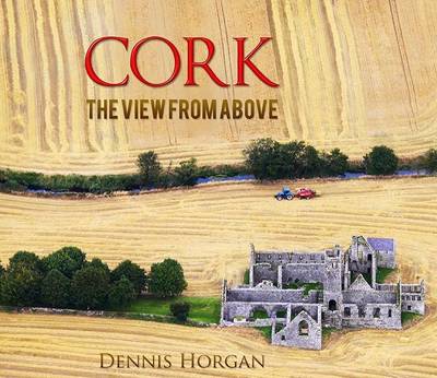 Cork: The View from Above by Dennis Horgan