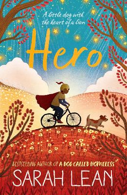 Hero by Sarah Lean