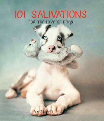 101 Salivations (Small) book