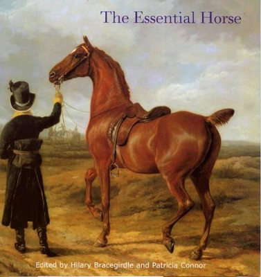 The Essential Horse by Hilary Bracegirdle