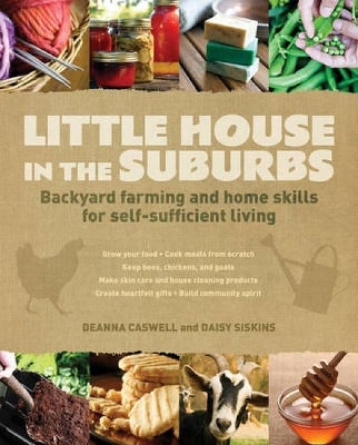 Little House in the Suburbs book