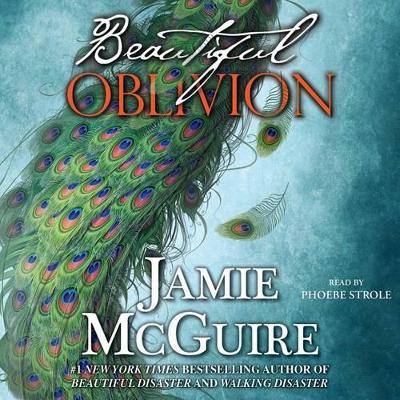 Beautiful Oblivion: A Novel book