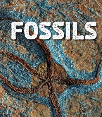 Fossils by Ava Sawyer
