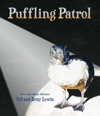 Puffling Patrol by Ted Lewin
