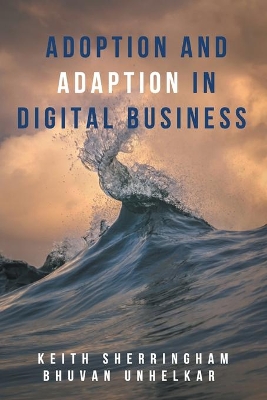 Adoption and Adaption in Digital Business book