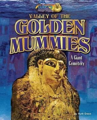 Valley of the Golden Mummies book