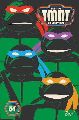 Best of Teenage Mutant Ninja Turtles Collection, Vol. 1 book