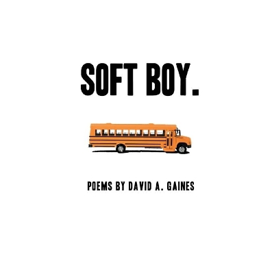 soft boy. book