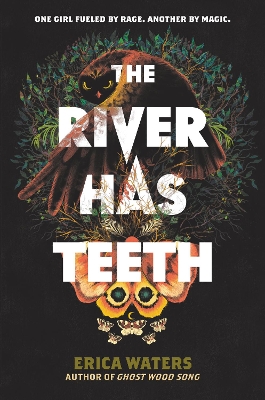 The River Has Teeth book