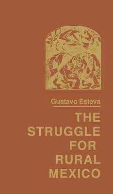 The Struggle for Rural Mexico book