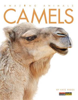 Camels by Kate Riggs