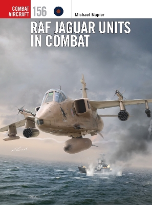 RAF Jaguar Units in Combat book