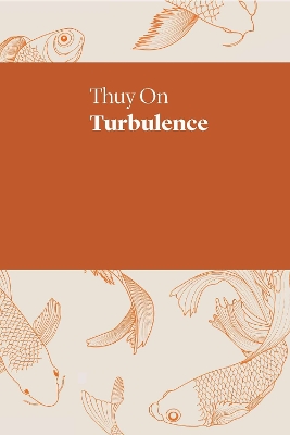 Turbulence book