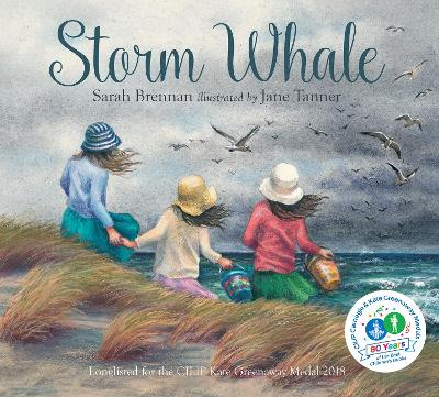 Storm Whale book