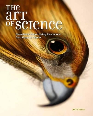 Art of Science book
