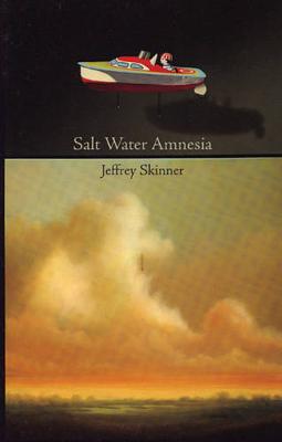 Salt Water Amnesia book