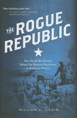Rogue Republic book