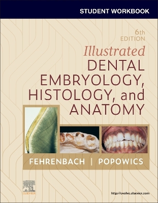 Student Workbook for Illustrated Dental Embryology, Histology and Anatomy by Margaret J. Fehrenbach