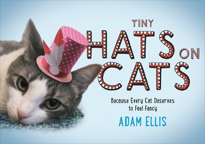 Tiny Hats on Cats book