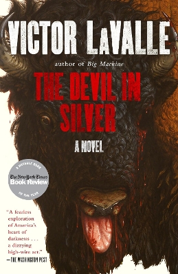 The Devil in Silver: A Novel book