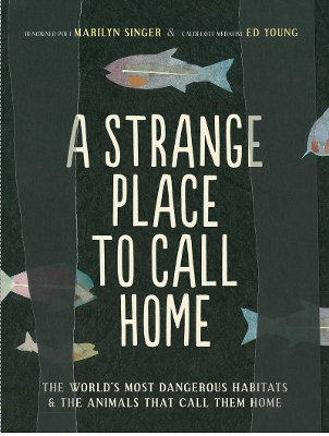 Strange Place to Call Home book