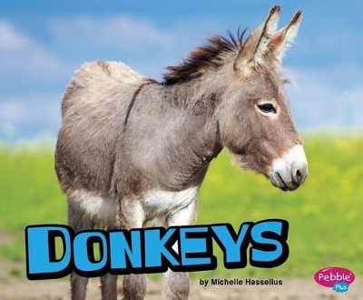 Donkeys by Michelle Hasselius