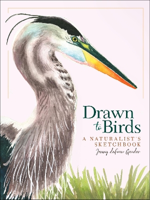 Drawn to Birds: A Naturalist's Sketchbook book