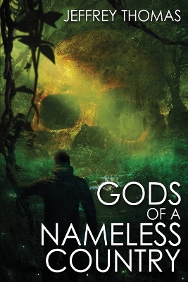 Gods of a Nameless Country book